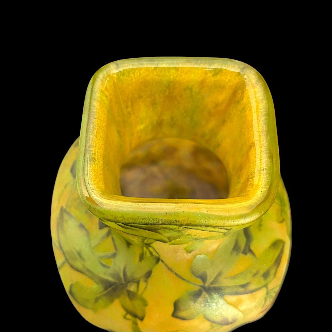 Rare vase Daum modèle Bryonia 1905-1910-photo-1