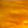 1555660-6835b035b9e75.jpg