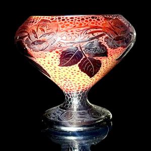 Paul Nicolas's Rose Cup