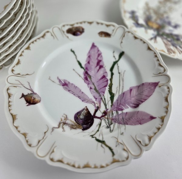 19th Century Porcelain Service - Marine Decor-photo-4
