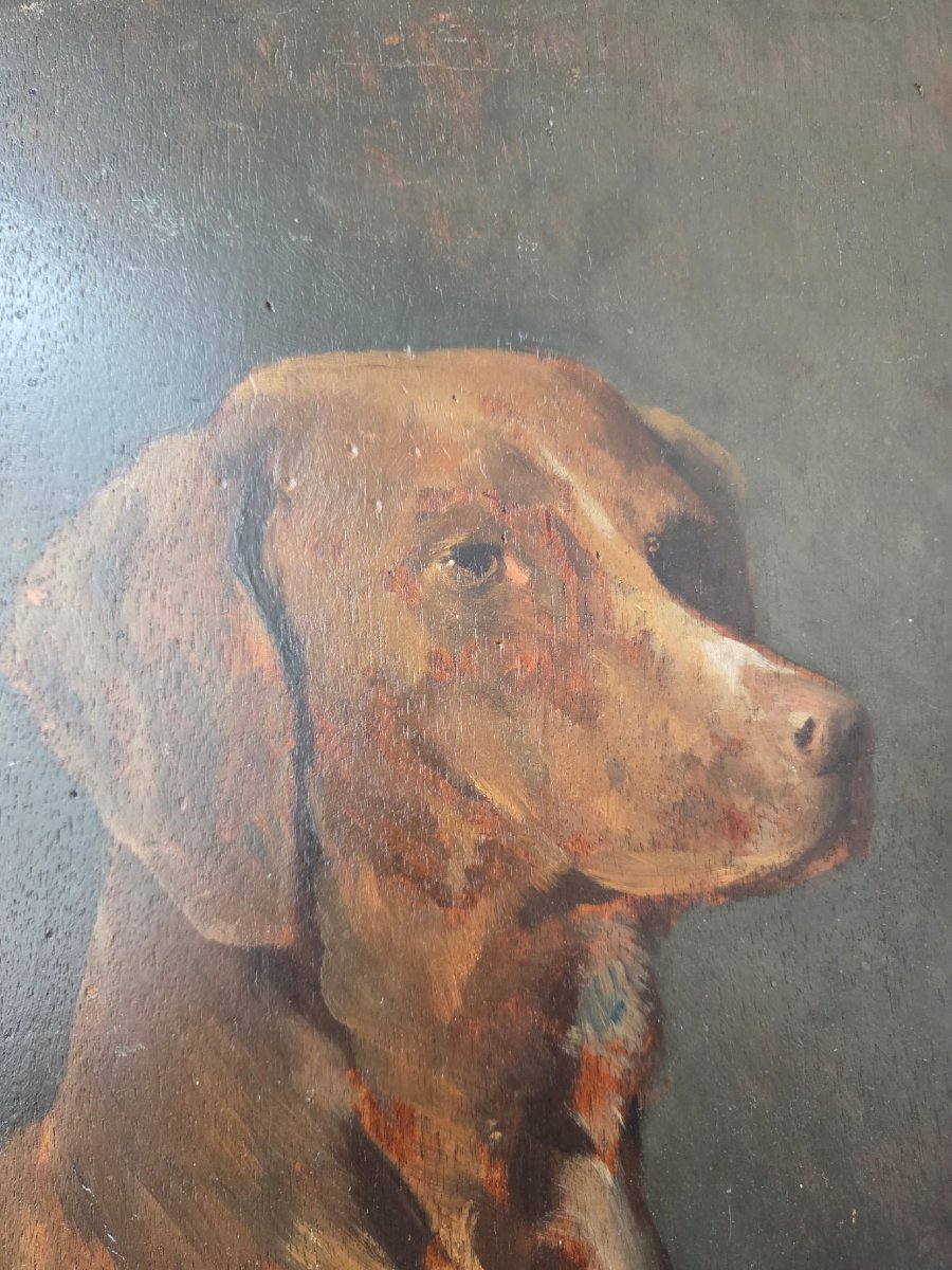 Portrait de chien_Ernest Rouart (1874 - 1942)-photo-2