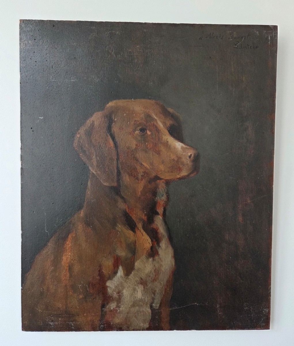 Portrait de chien_Ernest Rouart (1874 - 1942)