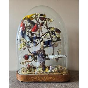 Naturalized Birds Under Glass - Restoration Period
