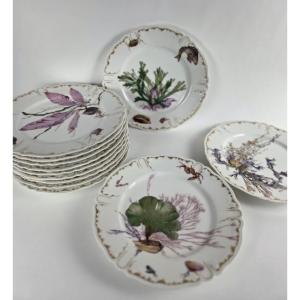 Service en porcelaine XIXème _ Décor marine