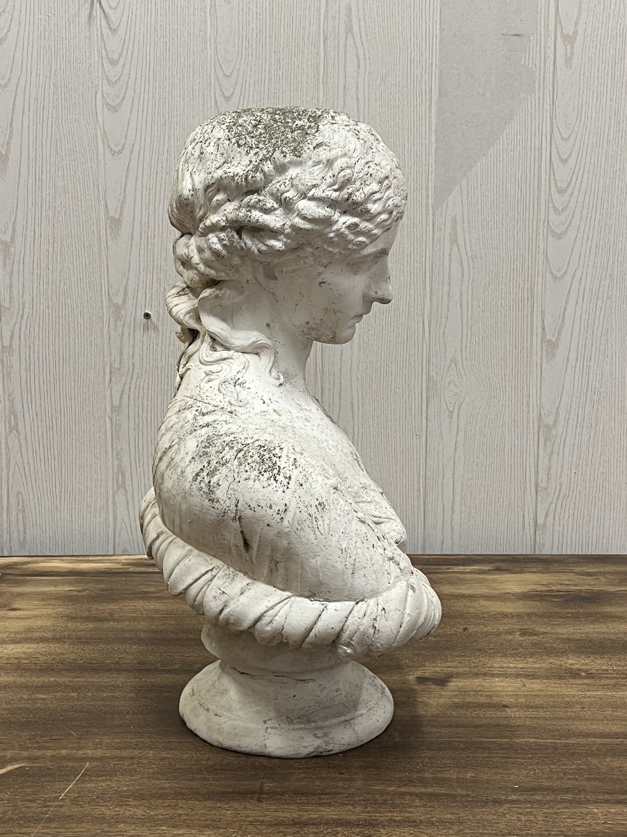 Buste -photo-2