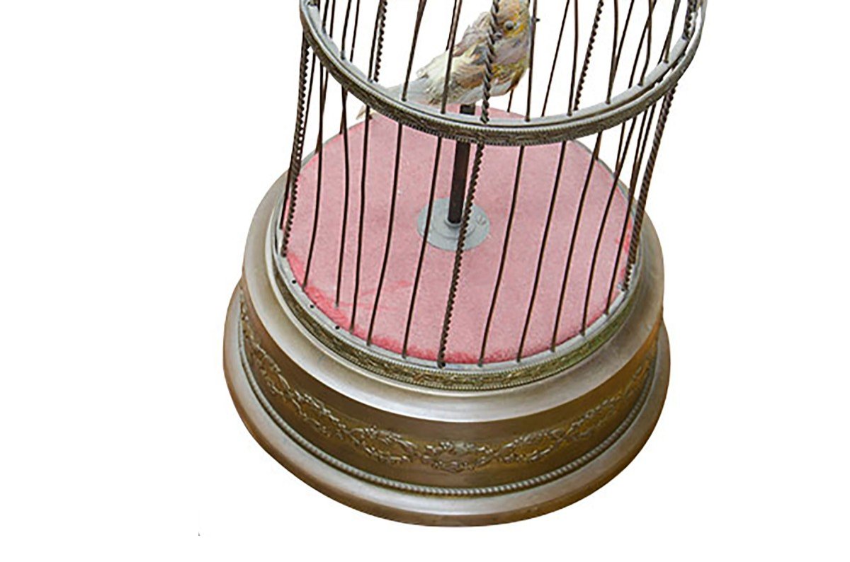 Bird Cage - Hv247-photo-2