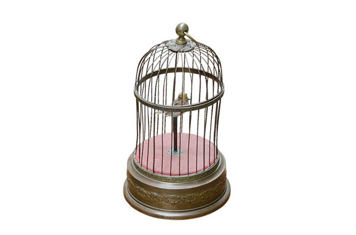 Bird Cage - Hv247