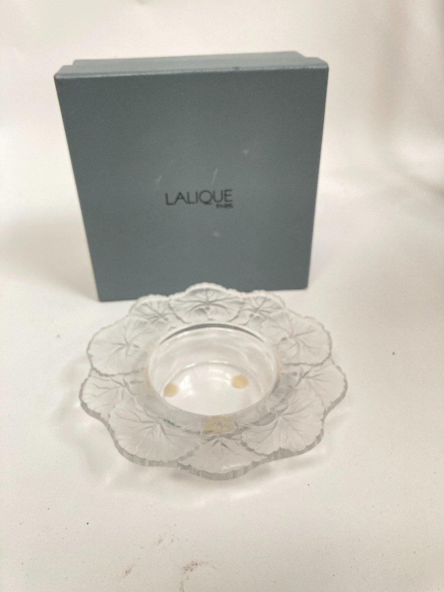 Coupe En Cristal Signée Lalique France