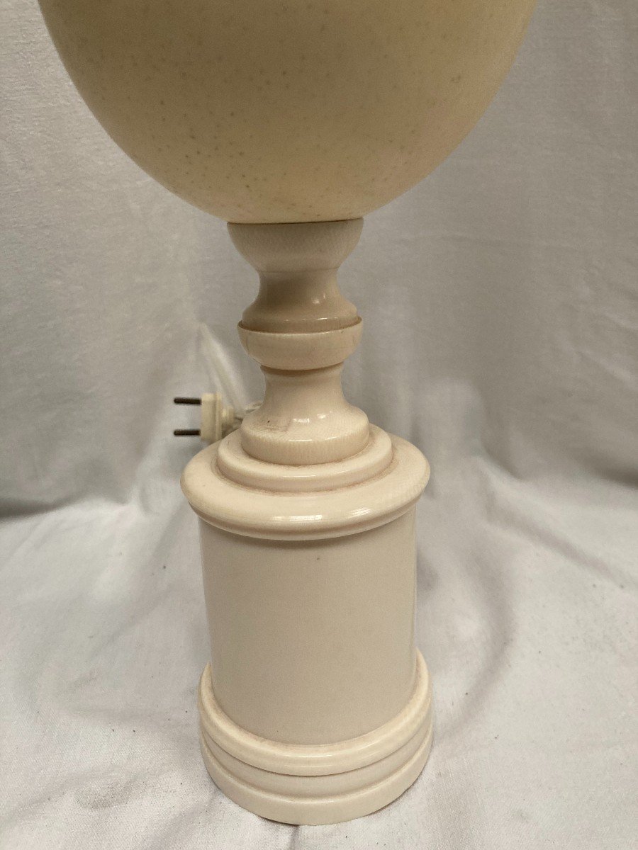 Beautiful Ostrich Egg And Ivory Lamp-photo-4