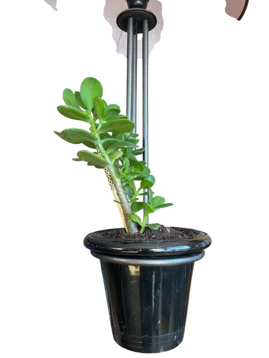 Metal And Ceramic Floor Lamp By Georges Asselbure-photo-2