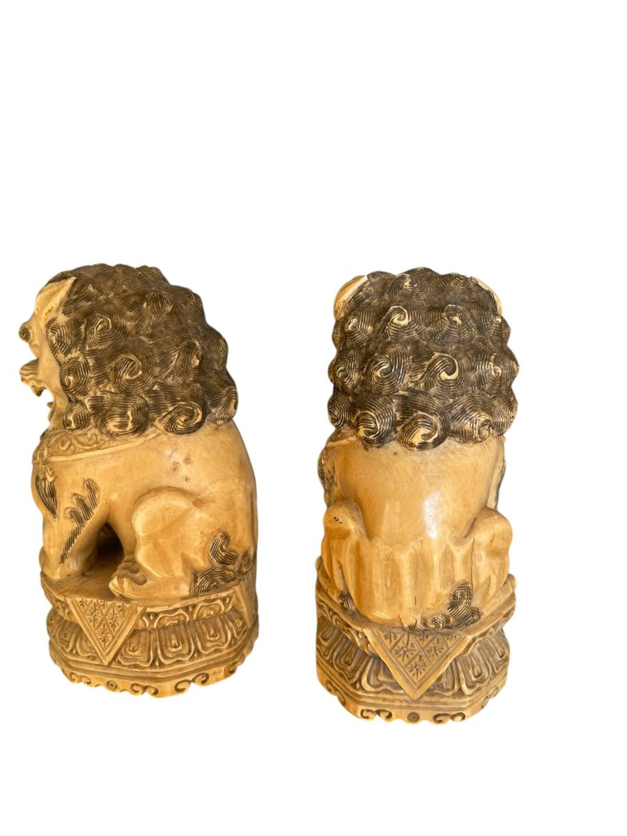 Paire de chiens de Fo en ivoire-photo-1