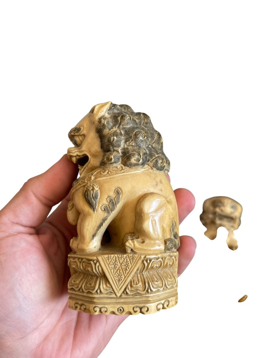 Paire de chiens de Fo en ivoire-photo-3