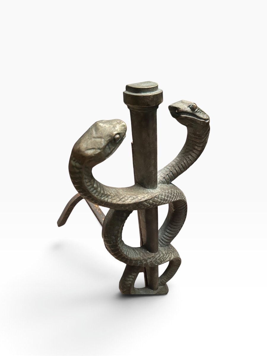 Paire de grands chenets en bronze patiné à décor de serpents vers 1930-photo-3