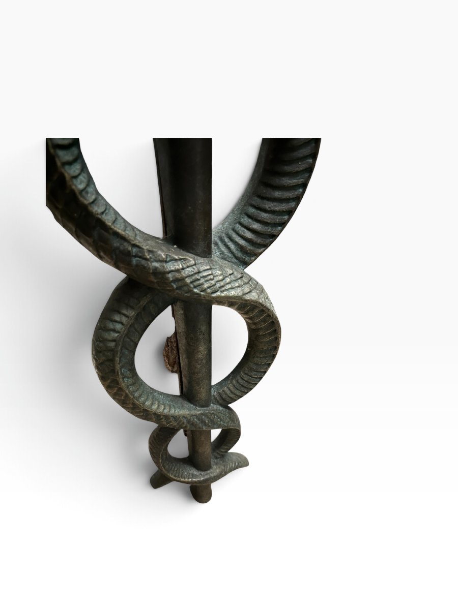 Paire de grands chenets en bronze patiné à décor de serpents vers 1930-photo-4