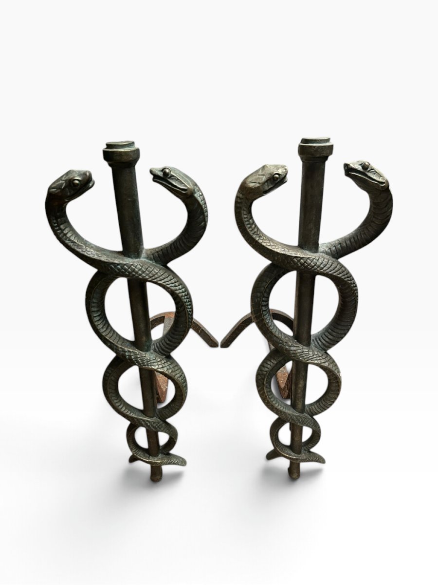 Paire de grands chenets en bronze patiné à décor de serpents vers 1930