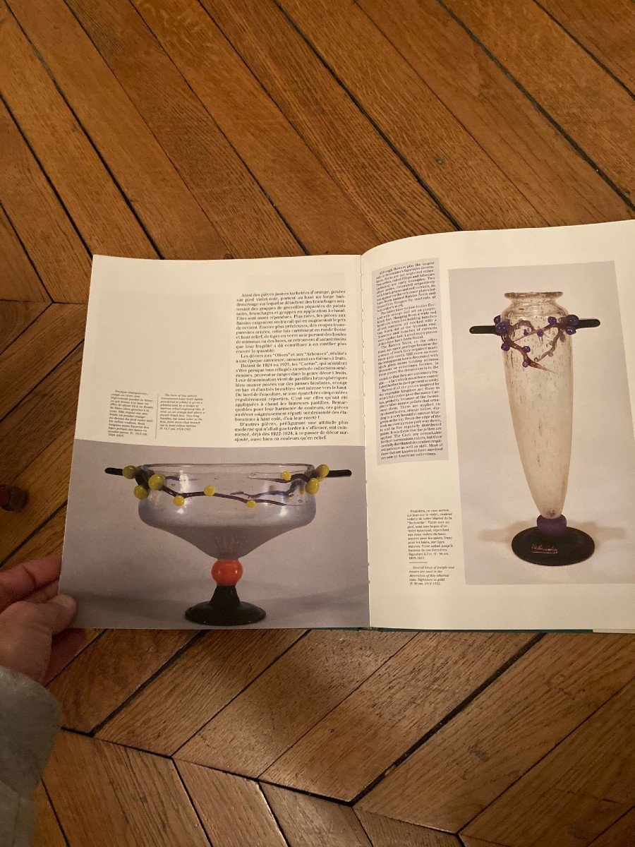 Monograph On The Master Glassmaker Charles Schneider-photo-3