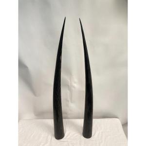 Pair Of Blackened And Limed Oak Tusks Around 1990 Signed