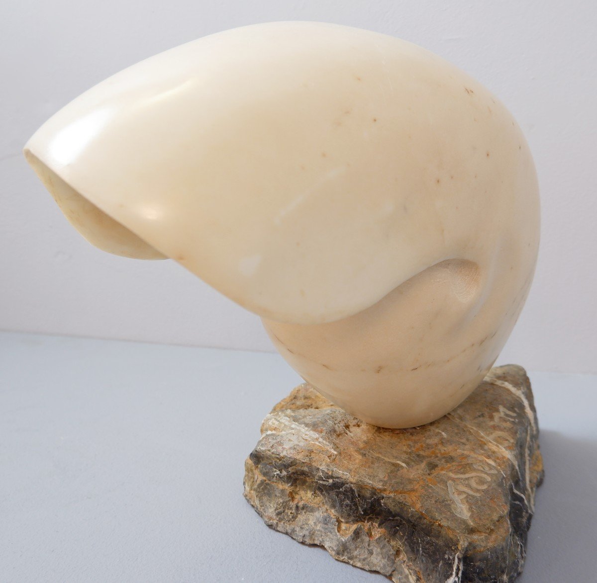 Nautilus Marble Shell Sculpture - Signed-photo-4