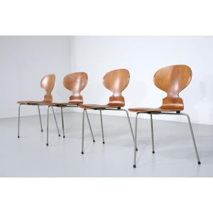 Lot de 4 Chaises  ant 3100 par Arne Jacobsen 