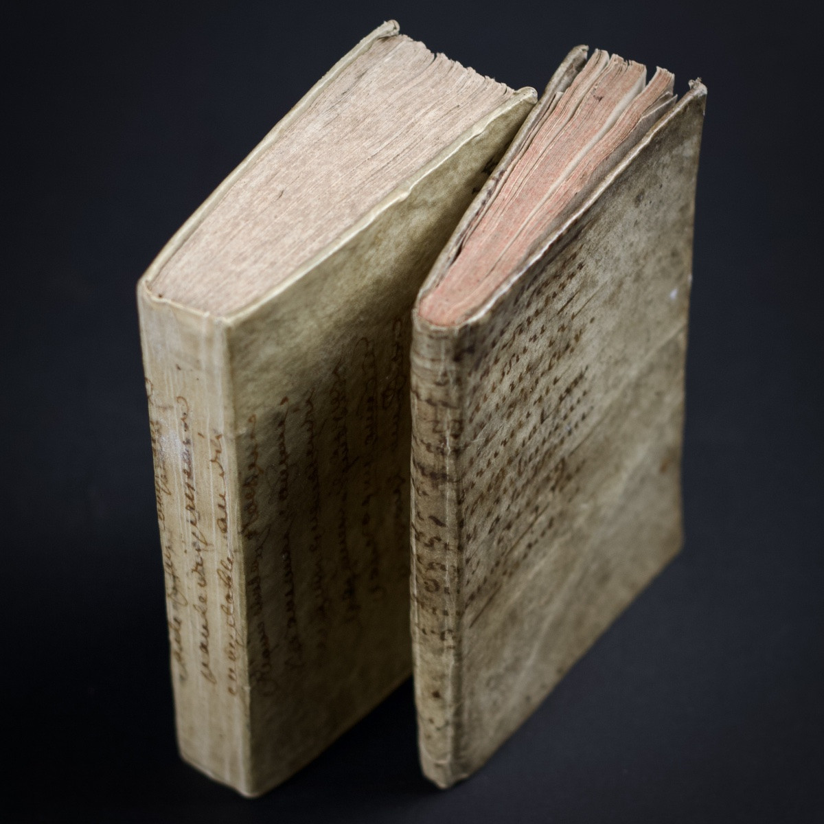 Livres anciens couverts de  vélin histoire naturelle et grammaire, reliures décoratives XVIIIe-photo-4