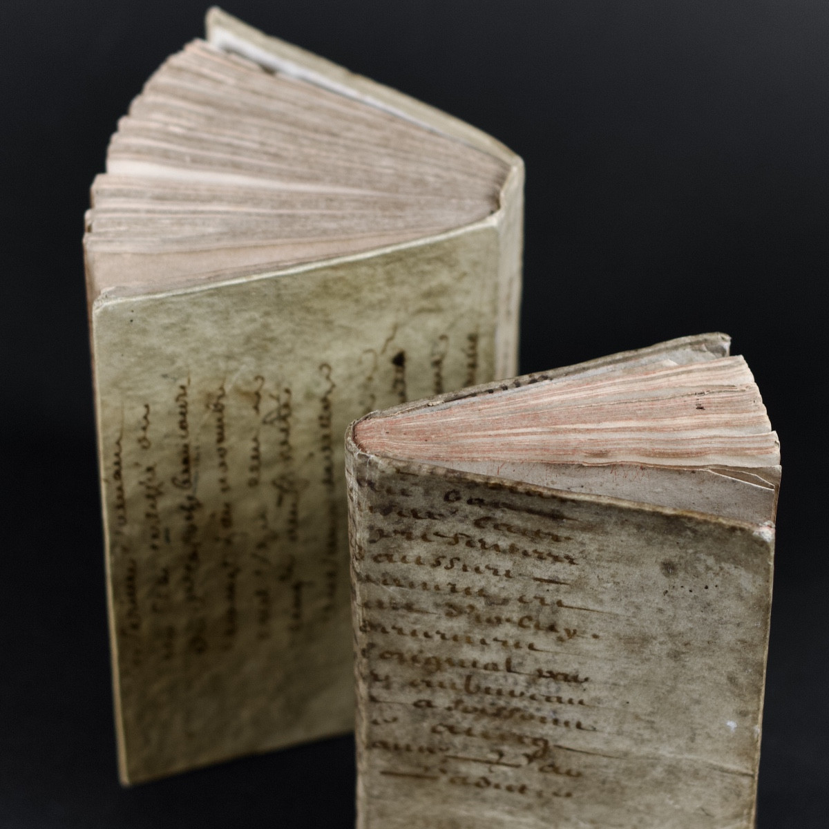 Livres anciens couverts de  vélin histoire naturelle et grammaire, reliures décoratives XVIIIe