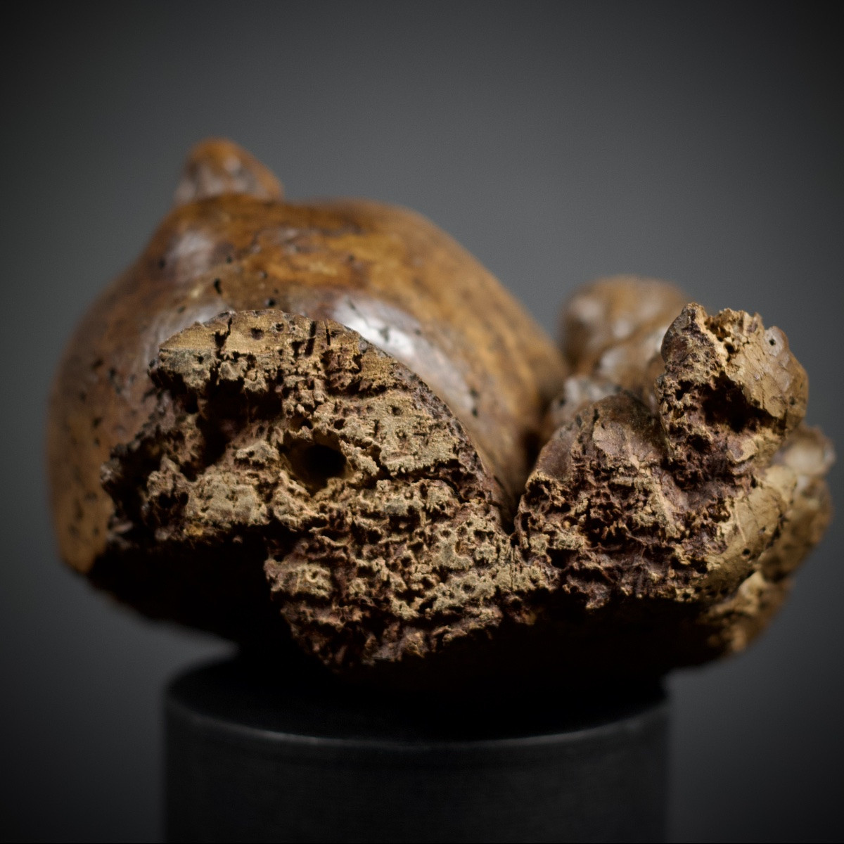 Fragment de tête d'ange baroque en bois sculpté, XVIIe siècle-photo-6