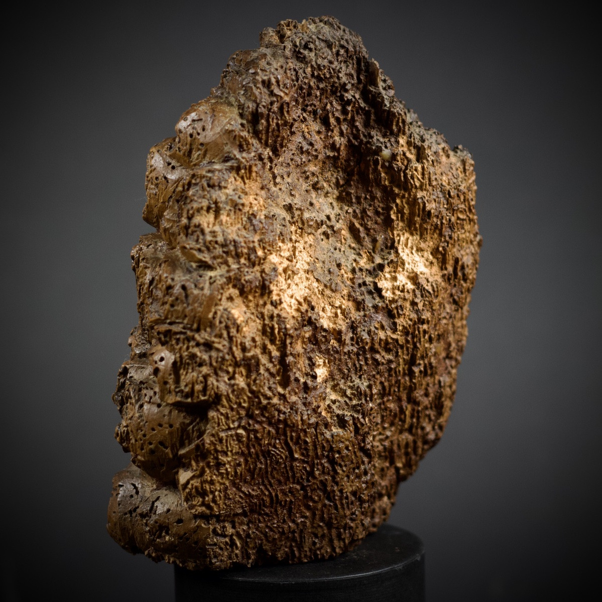 Fragment de tête d'ange baroque en bois sculpté, XVIIe siècle-photo-8