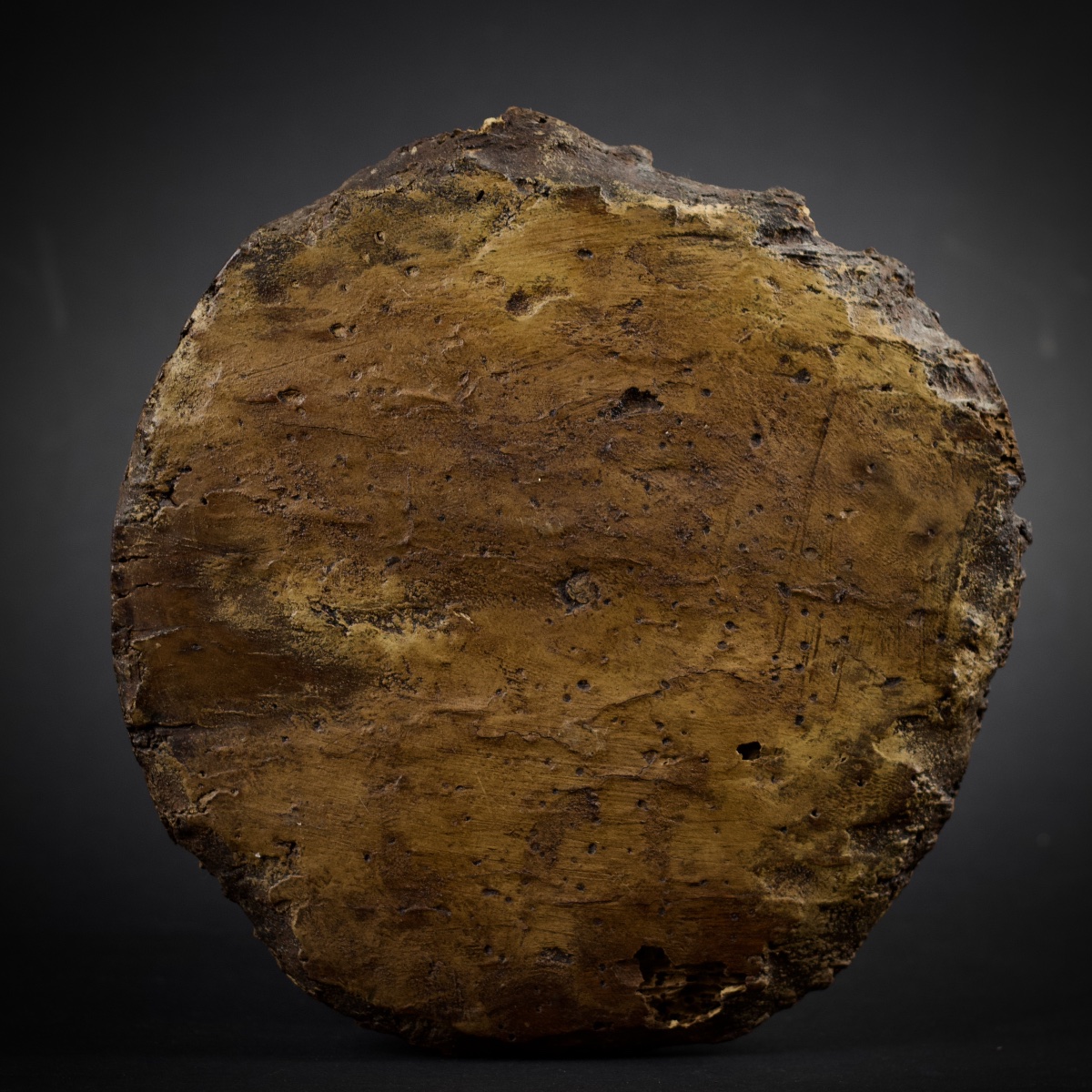 Médaillon en bois sculpté au profil d'homme casqué, dieu Mars (?), DLG Renaissance, XIXe siècle-photo-1