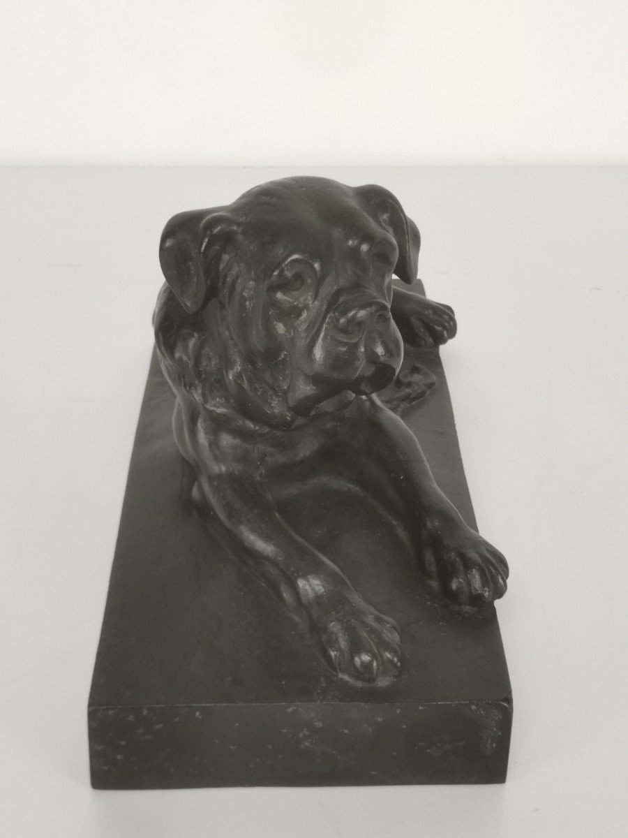 Cast Iron With Brown Patina, Chained Bordeaux's Dogue, 26.4 Cm-photo-4
