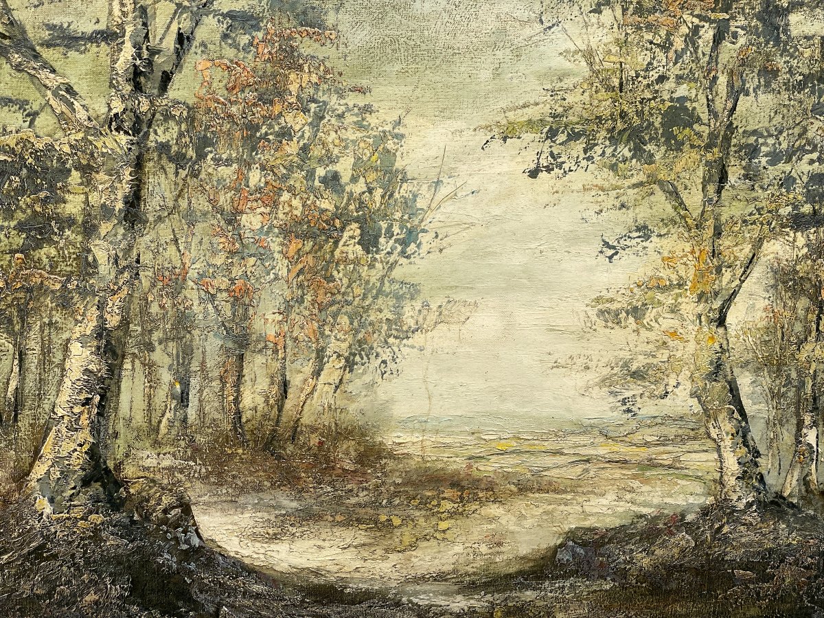 Important paysage de sous-bois, huile sur toile par C. Hofman-photo-3