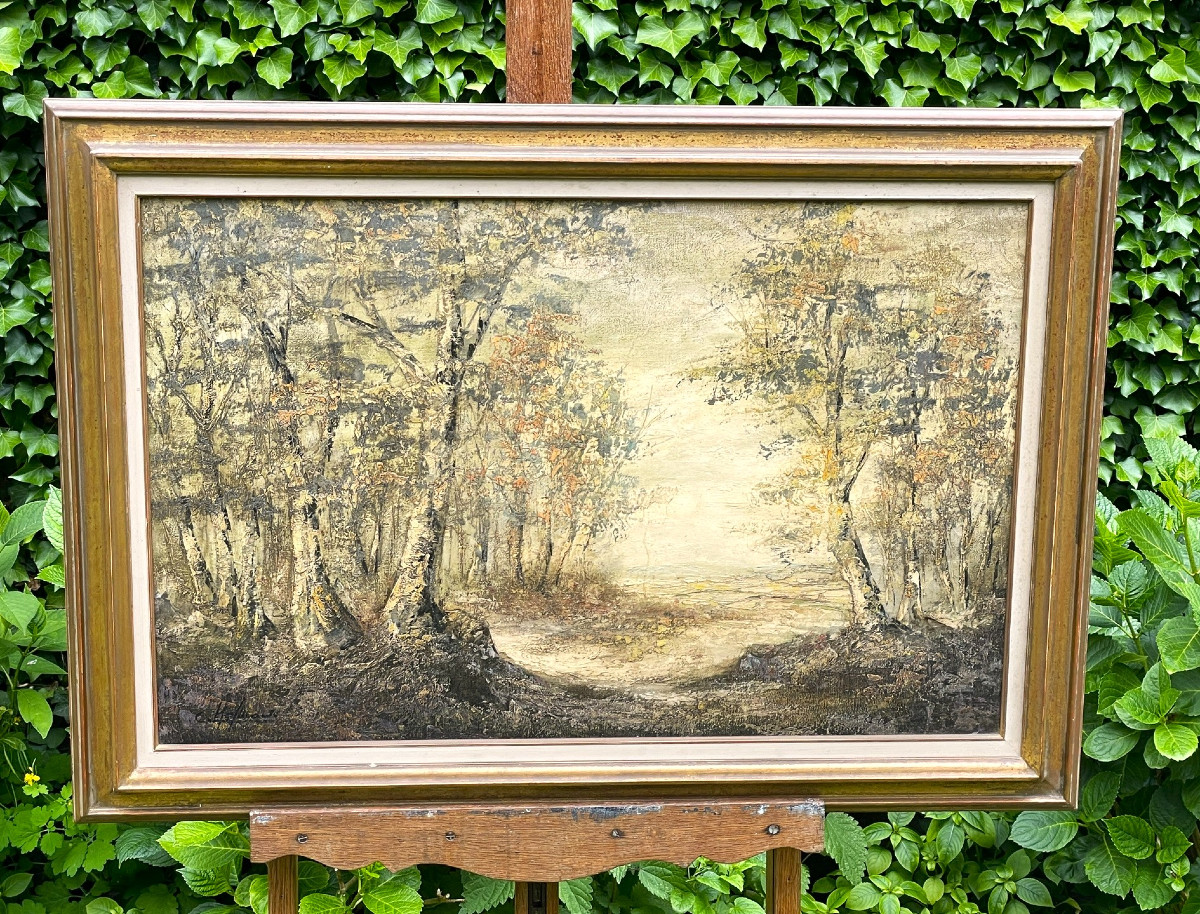 Important paysage de sous-bois, huile sur toile par C. Hofman