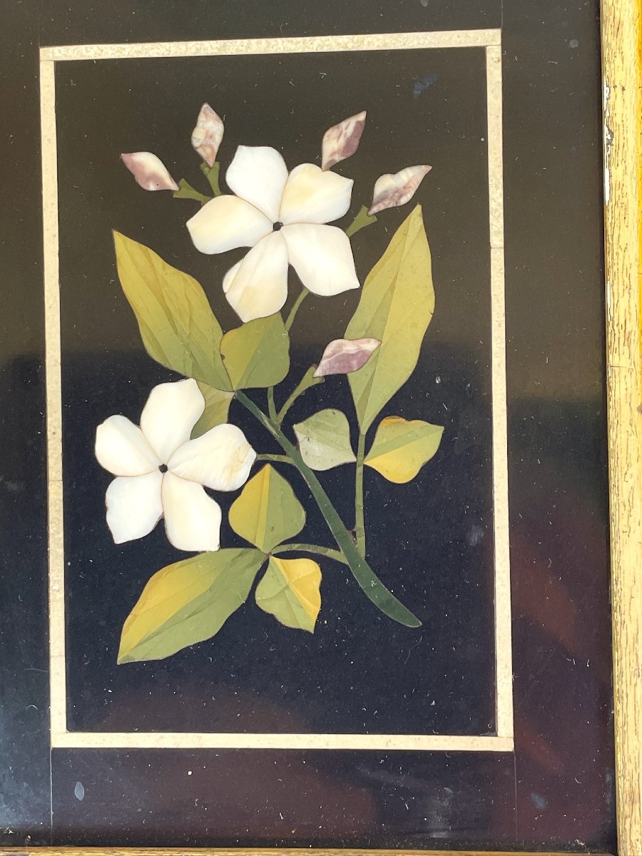 Grand Tour: Flowers In Hard Stone Marquetry, Pietra Dura, Italy, Florence, 19th Century. -photo-3