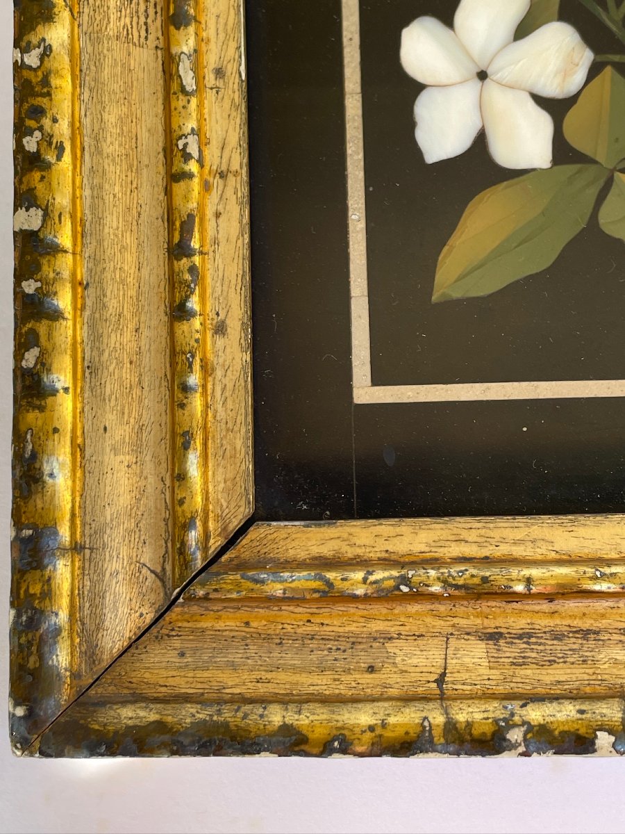 Grand Tour: Flowers In Hard Stone Marquetry, Pietra Dura, Italy, Florence, 19th Century. -photo-1