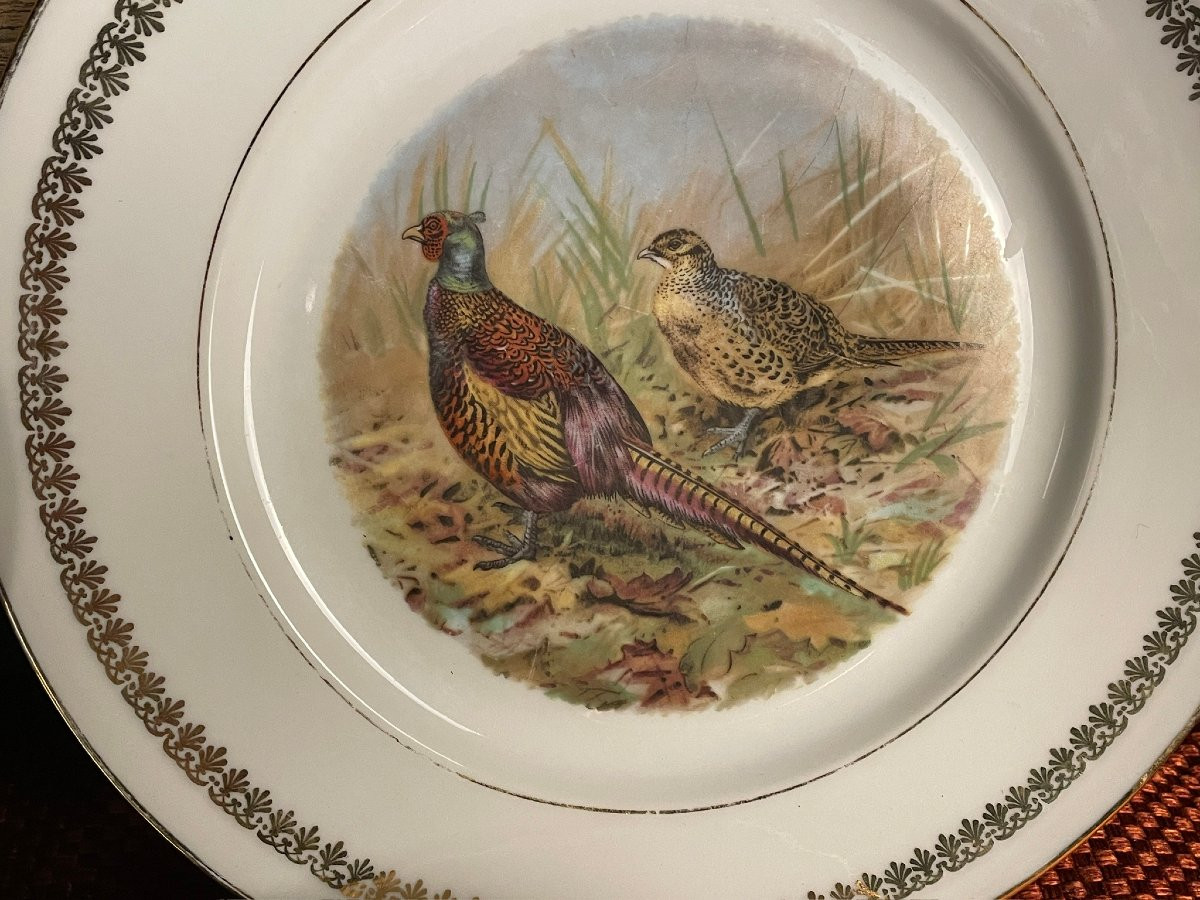Pheasant, Woodcock, Partridge Dinner Service, Mehun Porcelain, Hunting -photo-2