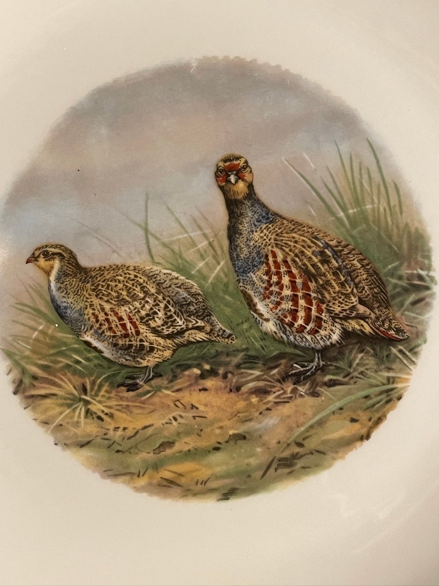 Pheasant, Woodcock, Partridge Dinner Service, Mehun Porcelain, Hunting -photo-3