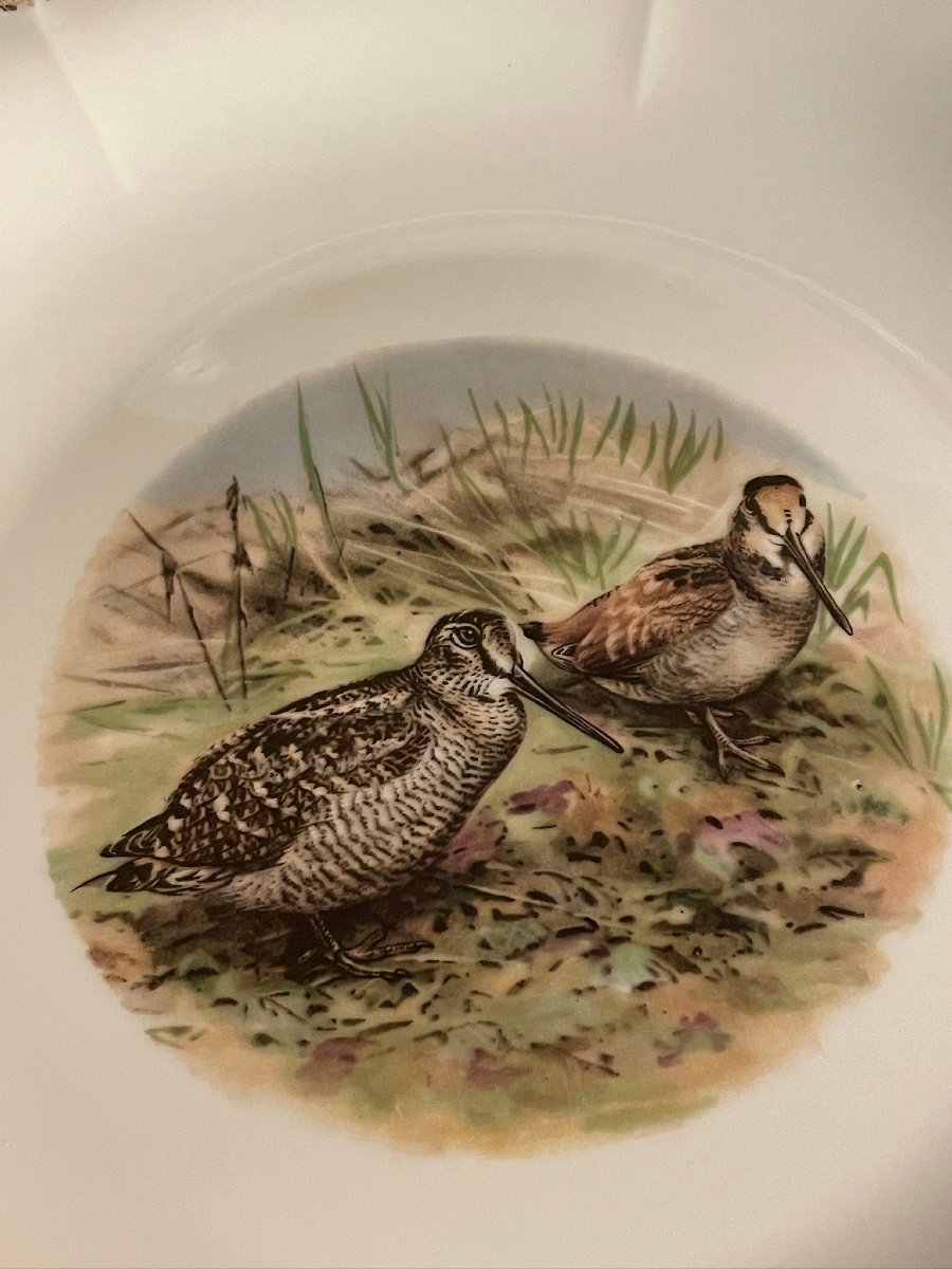 Pheasant, Woodcock, Partridge Dinner Service, Mehun Porcelain, Hunting -photo-5