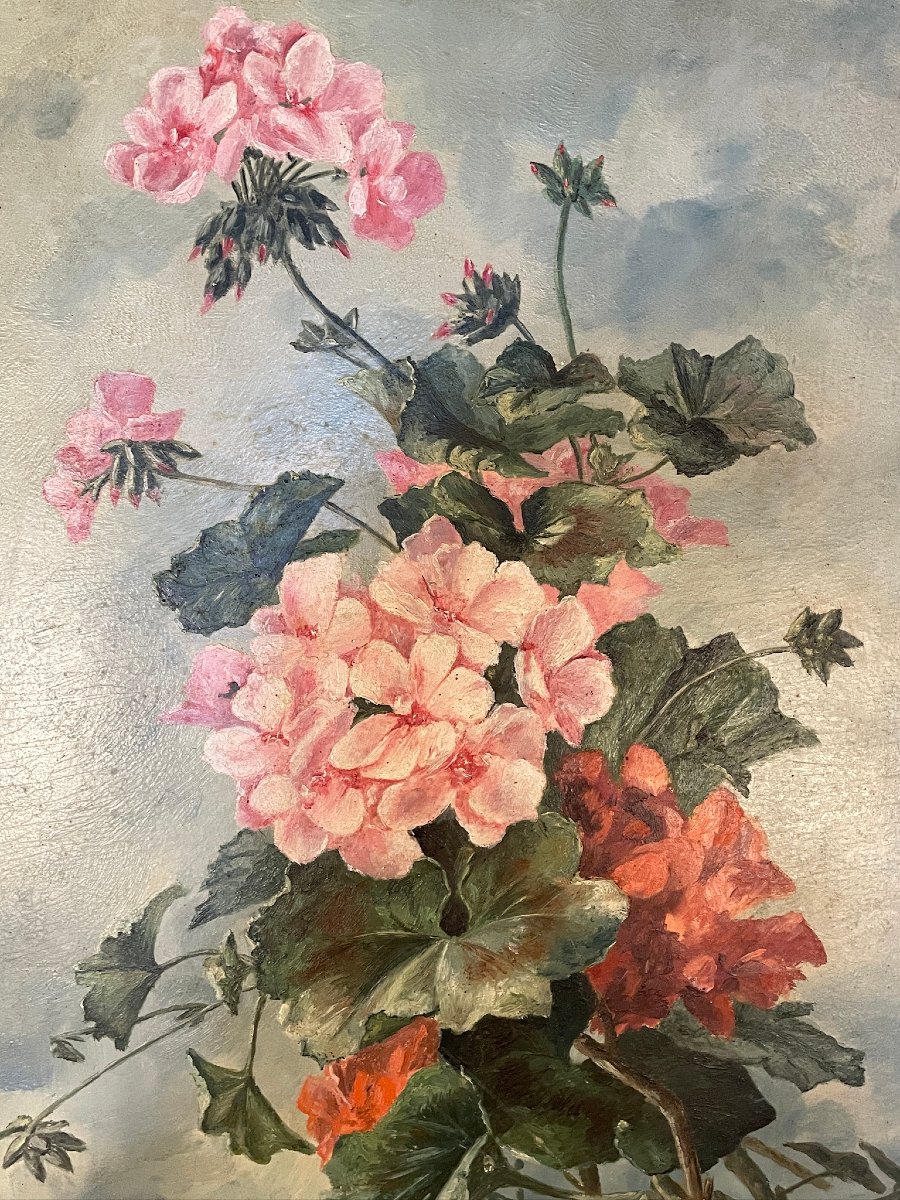 Bouquet de fleurs de géraniums par G. Ponson daté 1913-photo-3