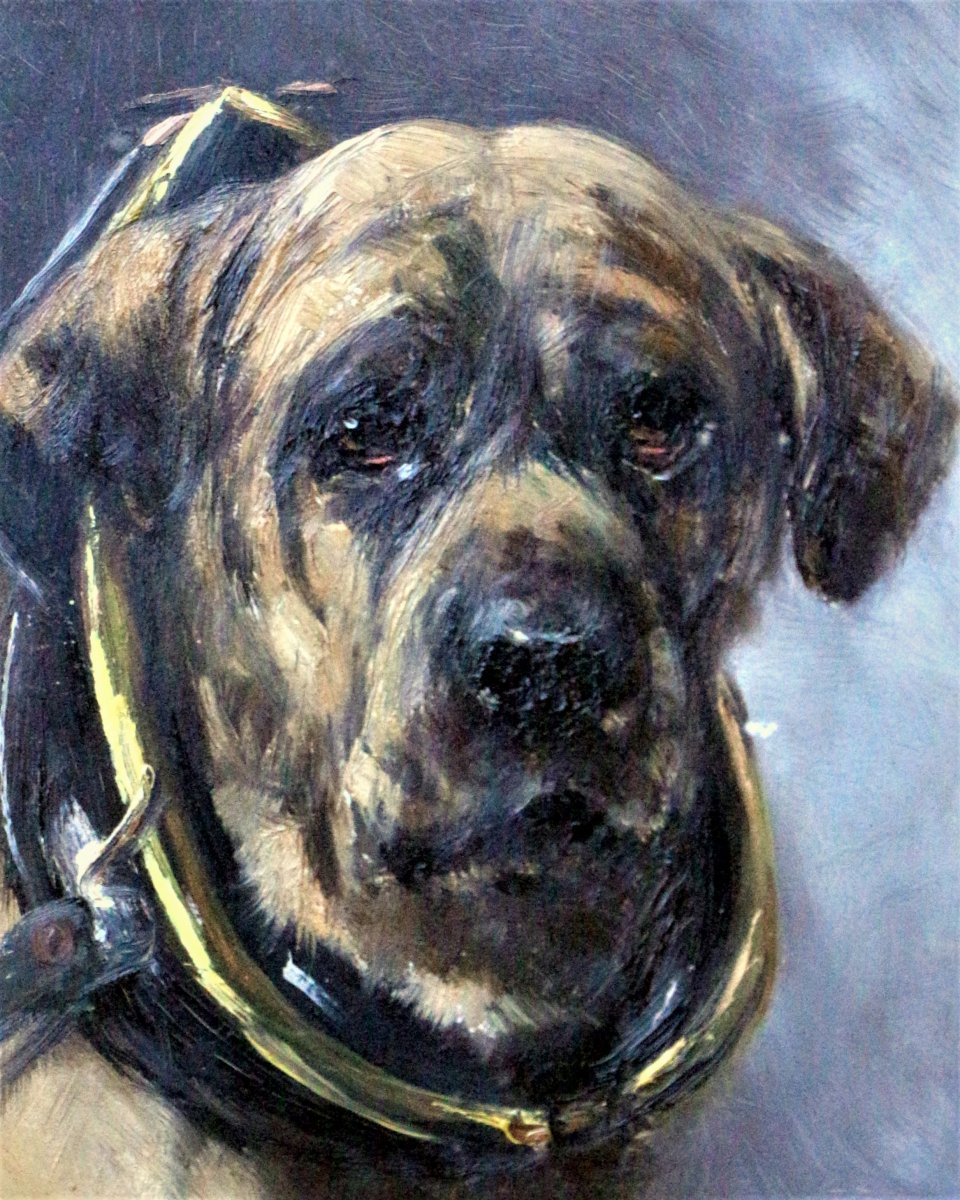 Edmond Van Der Meulen portrait de chien-photo-2