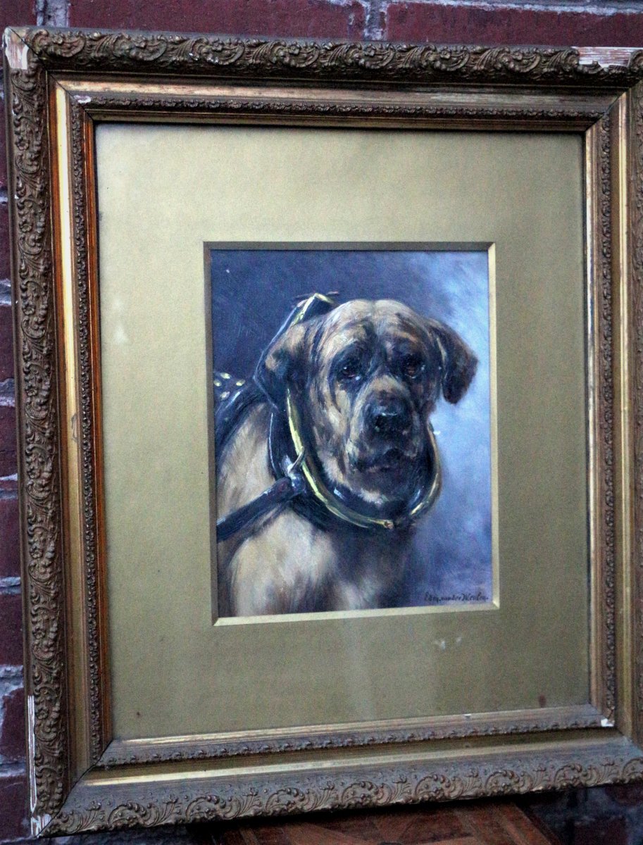 Edmond Van Der Meulen portrait de chien-photo-3