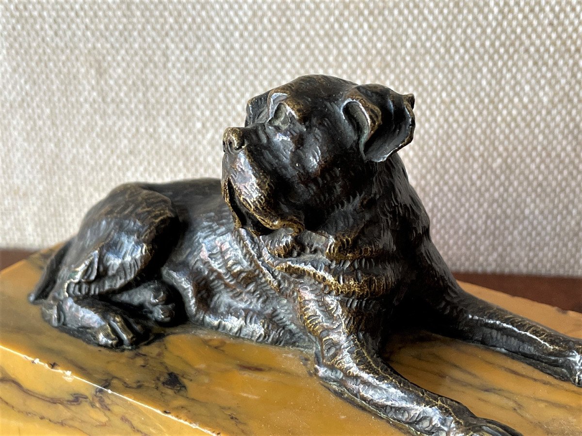 Sculpture de chien en bronze sur terrasse en marbre jaune de Sienne-photo-4