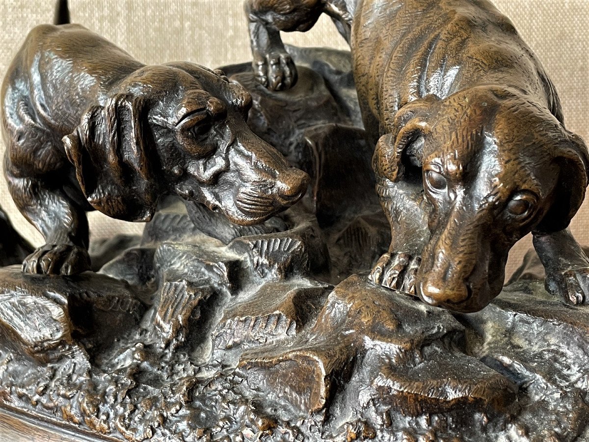Jules MOIGNIEZ bronze : deux chiens de chasse, bassets à l’affut-photo-4