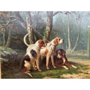 Alfred Sainte Marie: 19th Century Hunting Dogs