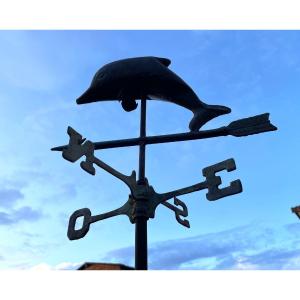 Storm Warning: The Weathervane Dolphin Smiles