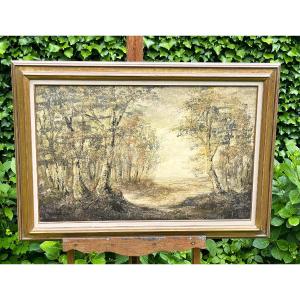 Important paysage de sous-bois, huile sur toile par C. Hofman