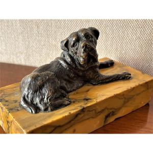 Bronze Dog Sculpture On Siena Yellow Marble Terrace