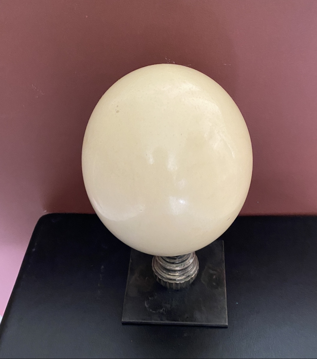 Ostrich Egg Mounted On A Matte Black Painted Base-photo-2