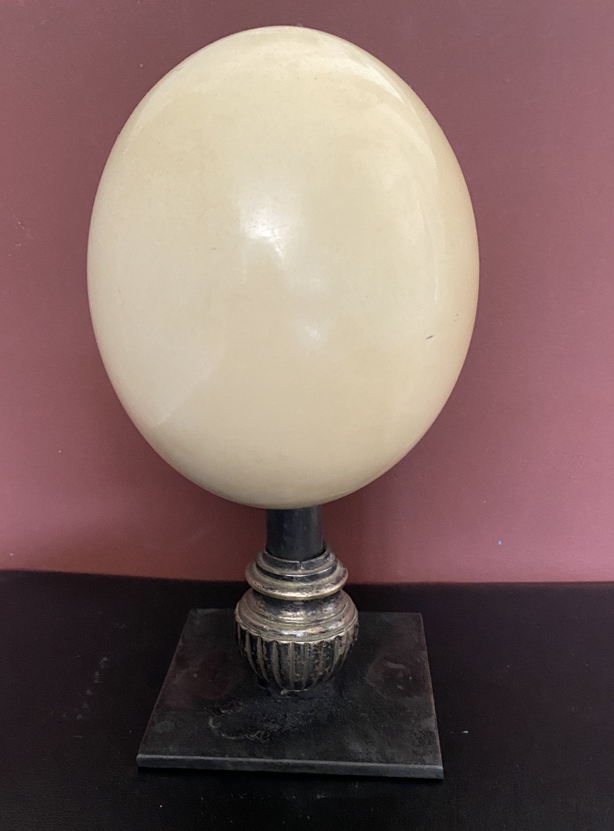 Ostrich Egg Mounted On A Matte Black Painted Base