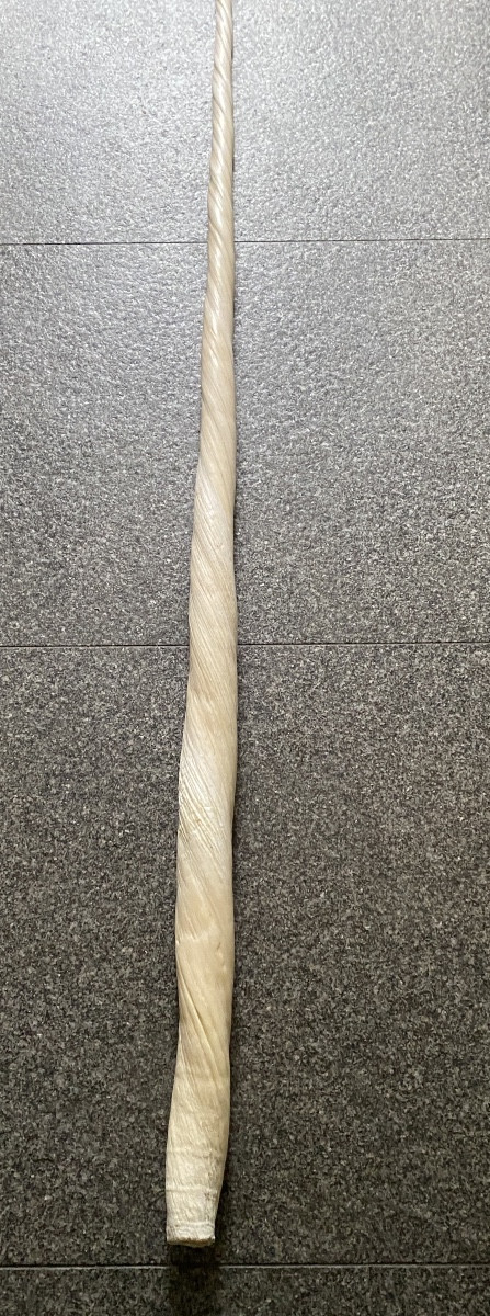 Narwhal Tooth-photo-2