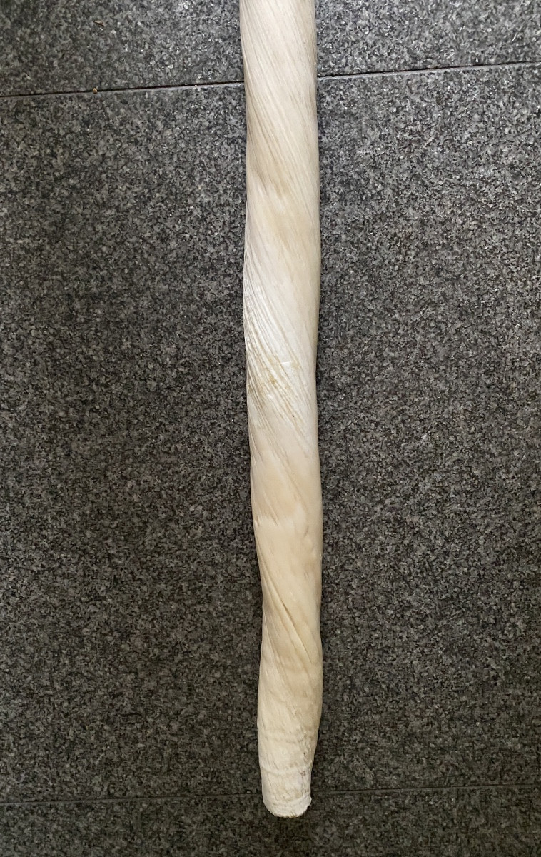 Narwhal Tooth-photo-2