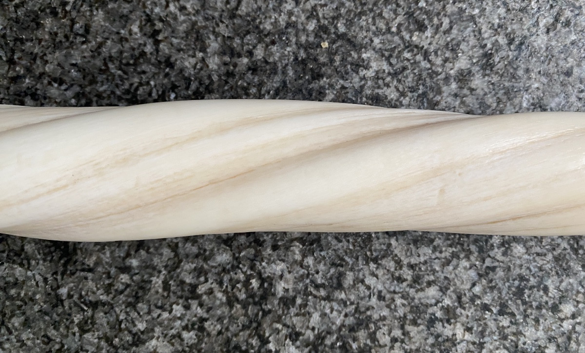 Narwhal Tooth-photo-7